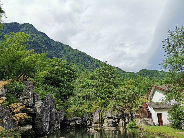 16657281228503941F29.jpg 4.jpg