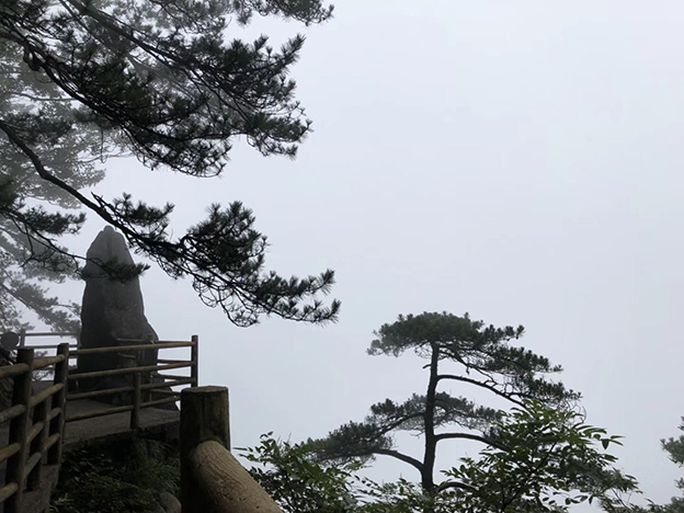 16657281943104743869.jpg 10.jpg